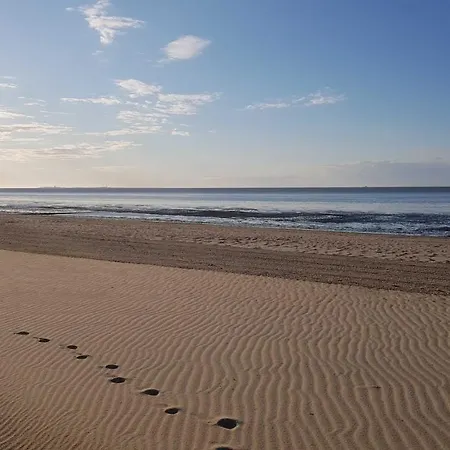 Apartment Residenz Nordfeldstrasse - Direkt Am Deich *